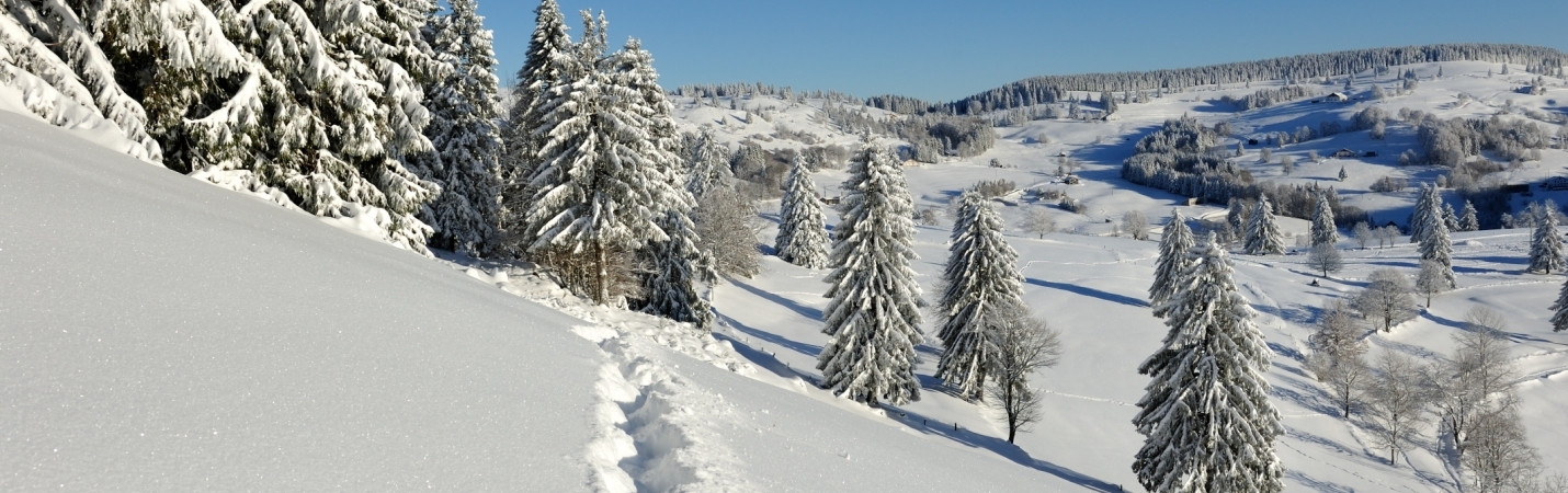 la-bresse-hautes-vosges-2093-3190