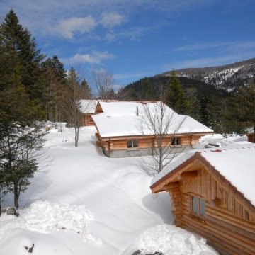 Large capacity rentals