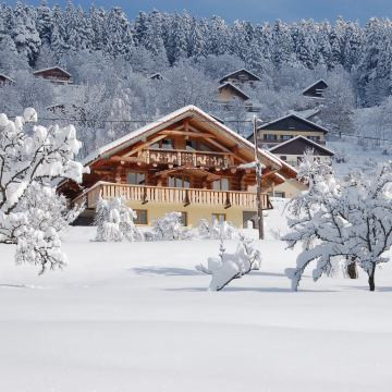 Holiday Rentals