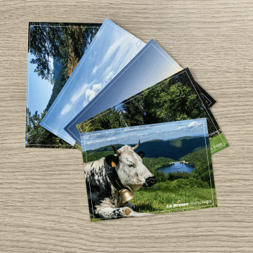 800x600-boutique-la-bresse-hautes-vosges-cartes-postales-3455-1444 800x600-boutique-la-bresse-hautes-vosges-cartes-postales-3455-1444