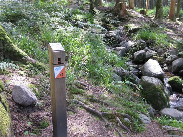 parcours-ludiques-orientation-la-bresse-2 parcours-ludiques-orientation-la-bresse-2