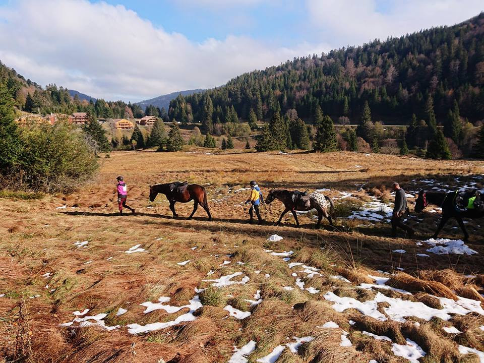 Crins-des-vosges-monitrice-equestre-la-bresse-3
