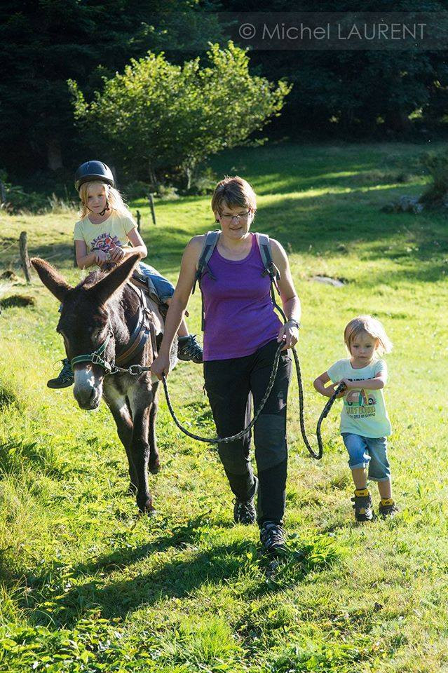 ferme-des-pres-en-bulles-locations-d-anes-sapois-1