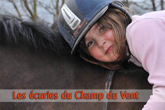 ecurie-du-champ-du-vent-thiefosse-2