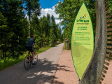 velo-route-voie-verte-la-bresse-1