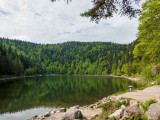 circuit-poussette-lac-corbeaux-la-bresse-4