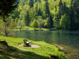 circuit-poussettes-tour-lac-blanchemer-la-bresse-3