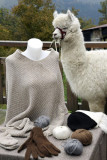 La-montagne-des-lamas-et-alpagas-la-bresse-4