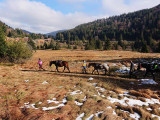 Crins-des-vosges-monitrice-equestre-la-bresse-3
