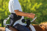 Crins-des-vosges-monitrice-equestre-la-bresse-7