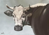 decopassion-la-bresse-vache-vosgienne