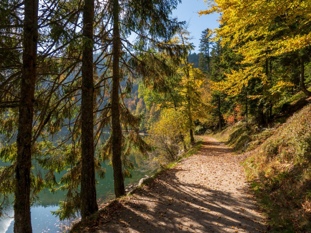 circuit-poussette-lac-corbeaux-la-bresse-2
