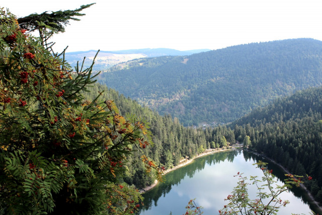 trail-roche-du-lac-haut-des-buches-la-bresse-1