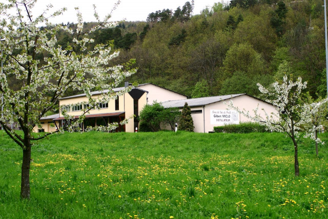 Distillerie-g-miclo-lapoutroie-1