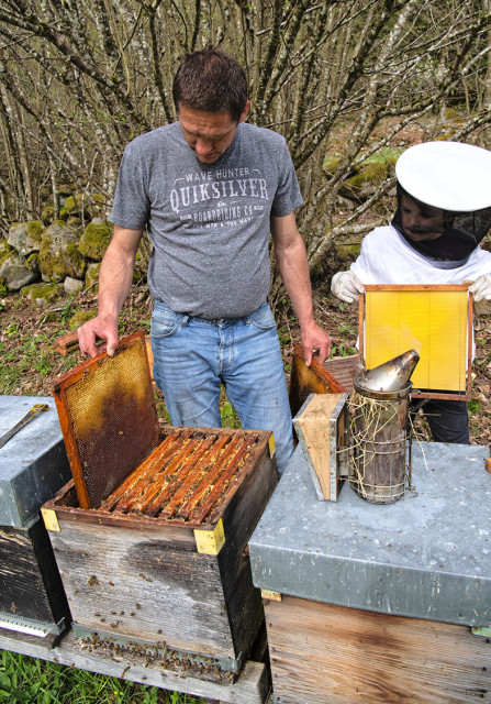 la-miellerie-du-mettey-producteur-gerbamont-1