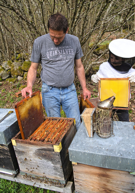 la-miellerie-du-mettey-producteur-gerbamont-1