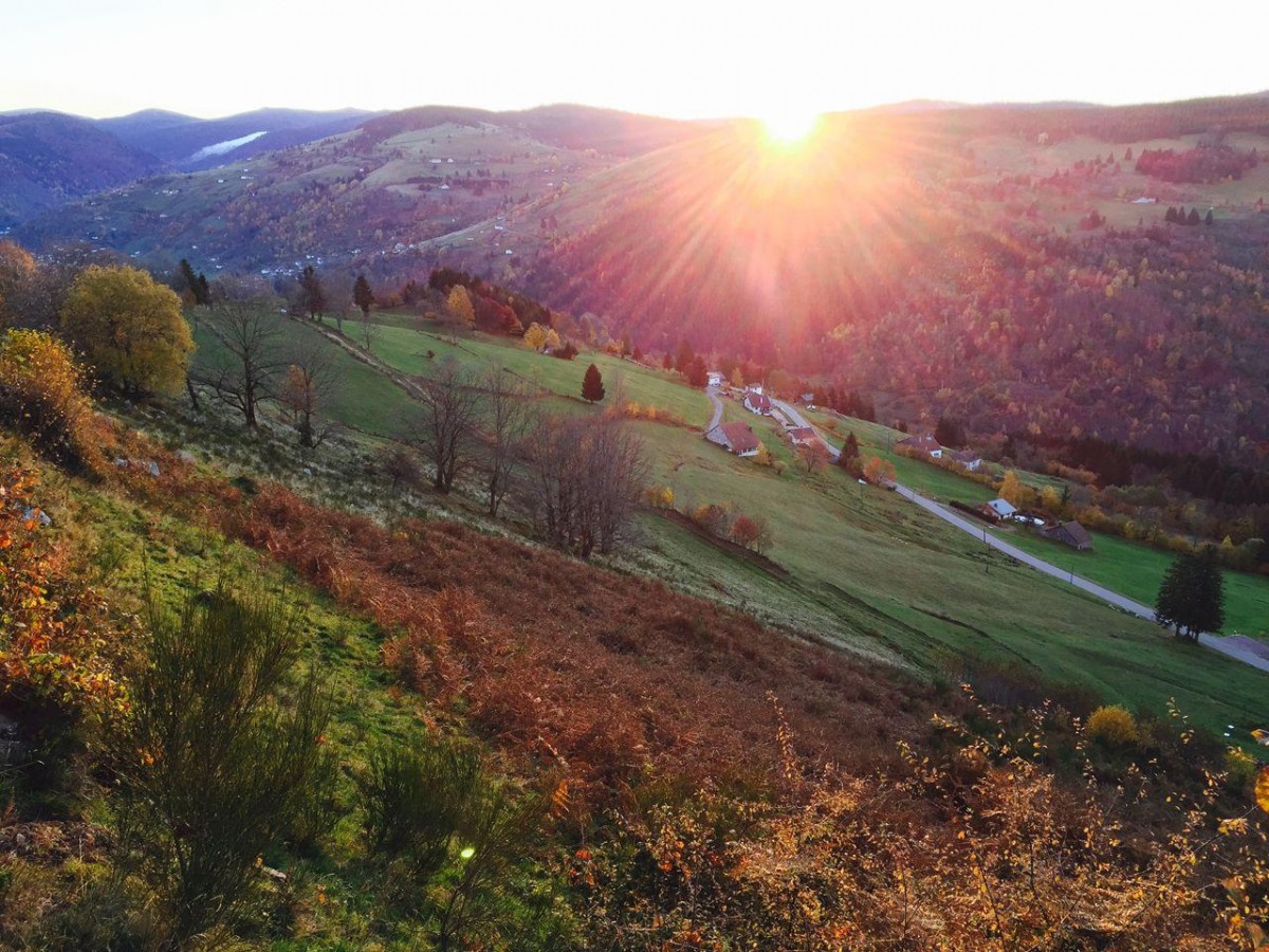 344219-16-h88g014134-5c12a4088d99a-23bf91fb8f9944086b7aa1447ac8a19e-488861 344219-16-h88g014134-5c12a4088d99a-23bf91fb8f9944086b7aa1447ac8a19e-488861
