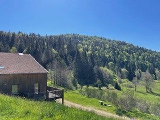 Appartement 6 personnes -  Ô Feignes - Esprit montagne & Lumière - La Bresse Hautes Vosges