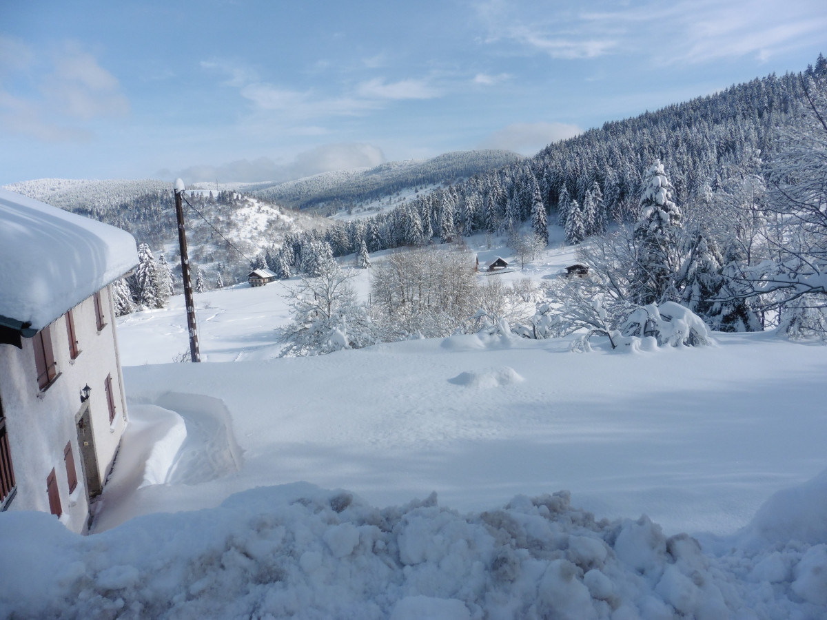 Appartement dans ferme 6 personnes Digitales - Ventron La Bresse Hautes Vosges