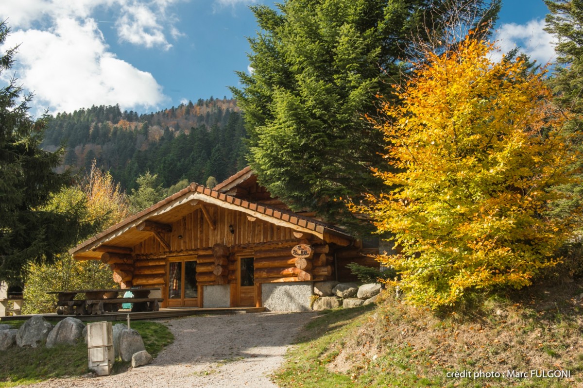 Chalet Brimbelles Le Couaroge La Bresse Chalet Brimbelles Le Couaroge La Bresse