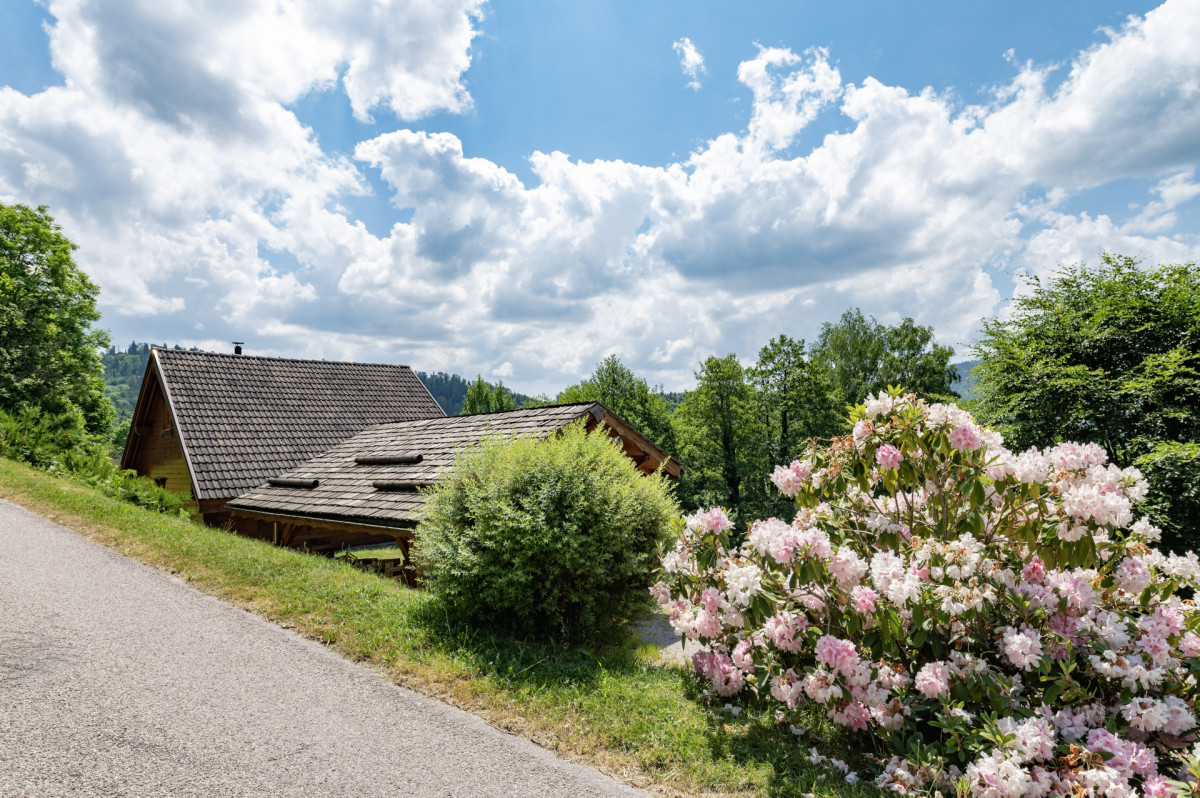 chalet-d-hannopr-thi-fosse-hautes-vosges-nicolas-kintzler-1-redim-555770 chalet-d-hannopr-thi-fosse-hautes-vosges-nicolas-kintzler-1-redim-555770