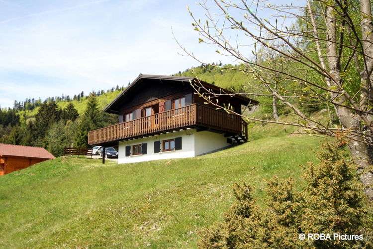 Chalet LL001 La Bresse Chalet LL001 La Bresse
