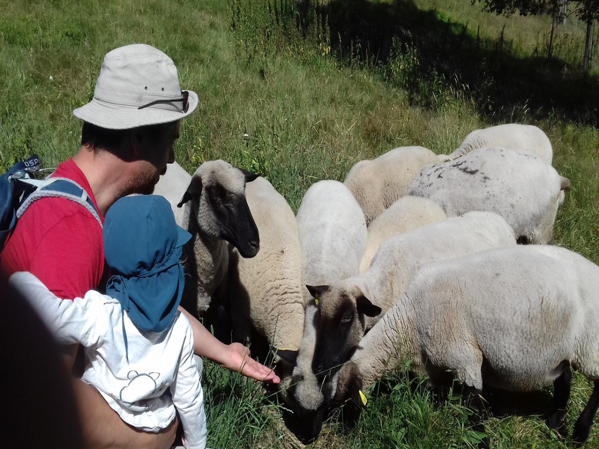 Complicités animales ferme pédagogique - Ventron La Bresse Hautes Vosges Complicités animales ferme pédagogique - Ventron La Bresse Hautes Vosges