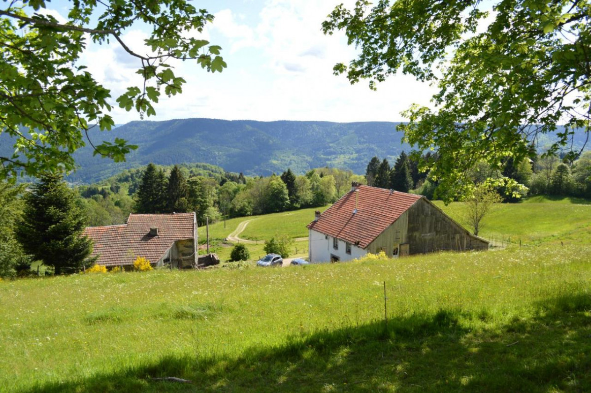 FERME 14 Personnes - Gîte de Viaux Fontaine - Saulxures La Bresse Hautes Vosges FERME 14 Personnes - Gîte de Viaux Fontaine - Saulxures La Bresse Hautes Vosges