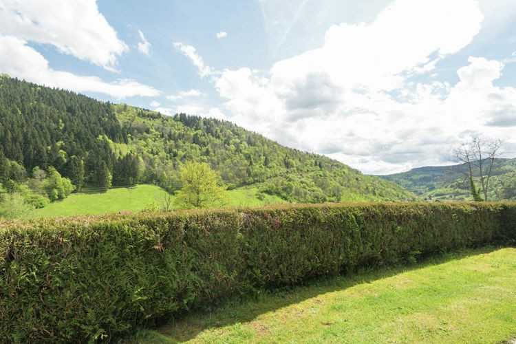 Location Chalet Le Chamois 5 personnes La Bresse Hautes-Vosges LC037 Location Chalet Le Chamois 5 personnes La Bresse Hautes-Vosges LC037