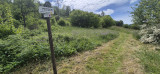 Appartement 6 personnes l'Arboretum La Bresse LP018