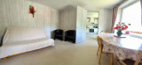 Appartement 6 personnes l'Arboretum La Bresse LP018 Appartement 6 personnes l'Arboretum La Bresse LP018