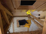 Chalet 2 personnes - Perce Neige Eden Spa - La Bresse Hautes Vosges - Ventron Chalet 2 personnes - Perce Neige Eden Spa - La Bresse Hautes Vosges - Ventron