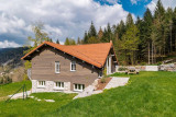 Chalet 8/10 personnes - Home des Bois - Haut standing au cœur de la nature - Ventron La Bresse Hautes Vosges