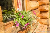 Chalet Le Herbau Le Couaroge La Bresse Chalet Le Herbau Le Couaroge La Bresse