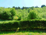 Location vacances LE CHAMOIS appartement 4 personnes La Bresse Hautes Vosges Location vacances LE CHAMOIS appartement 4 personnes La Bresse Hautes Vosges