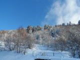 Location vacances LE CHAMOIS appartement 4 personnes La Bresse Hautes Vosges Location vacances LE CHAMOIS appartement 4 personnes La Bresse Hautes Vosges