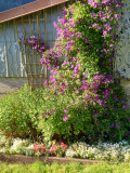 Location vacances Le Tétras appartement 2 personnes La Bresse Hautes Vosges Location vacances Le Tétras appartement 2 personnes La Bresse Hautes Vosges