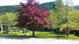 Maison mitoyenne 5 personnes - Les grangettes - La Bresse Hautes Vosges Maison mitoyenne 5 personnes - Les grangettes - La Bresse Hautes Vosges