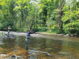 YC fishing guide - Guide peche professionnel La Bresse Ventron Hautes Vosges YC fishing guide - Guide peche professionnel La Bresse Ventron Hautes Vosges