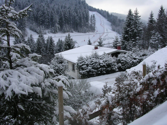 Appartement 6 personnes - Le Nid des Brimbelles - Confort à la montagne, entre nature et domaine skiable - La Bresse Hautes Vosges