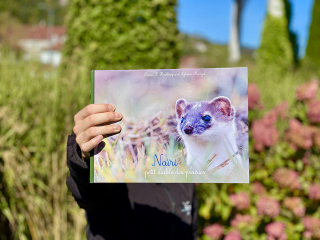 Naïri petit diable des prairies