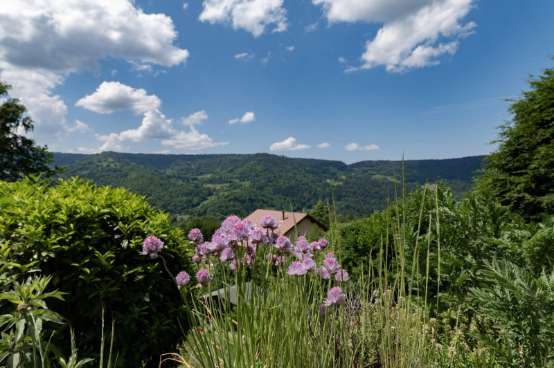 Chalet d'Hannopré - 6 personnes - Jardin fleuri et intérieur chaleureux - Thiéfosse - La Bresse Hautes Vosges